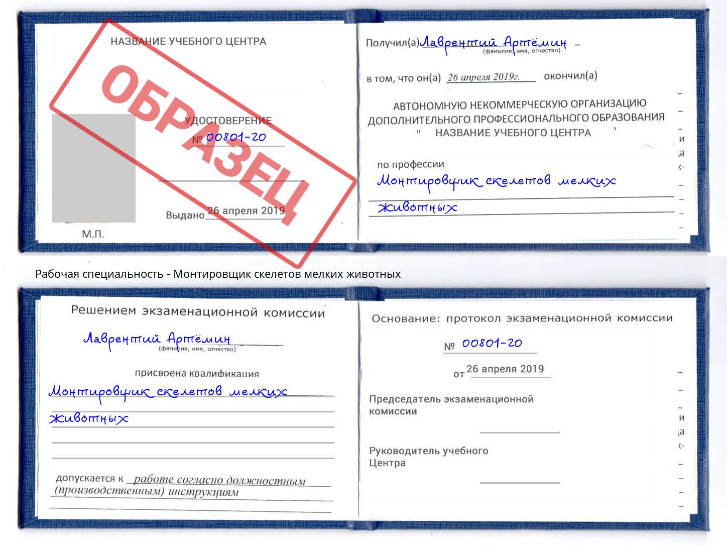 Монтировщик скелетов мелких животных Балаково